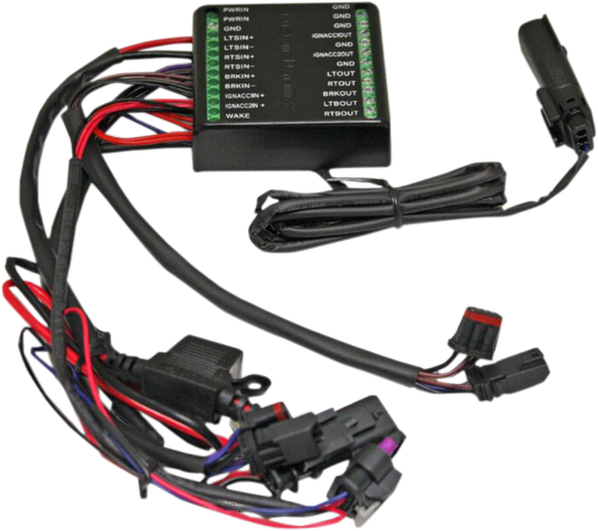Custom Dynamics Isolator Light Module 2018-2023 Harley Softail Fat Bob Breakout