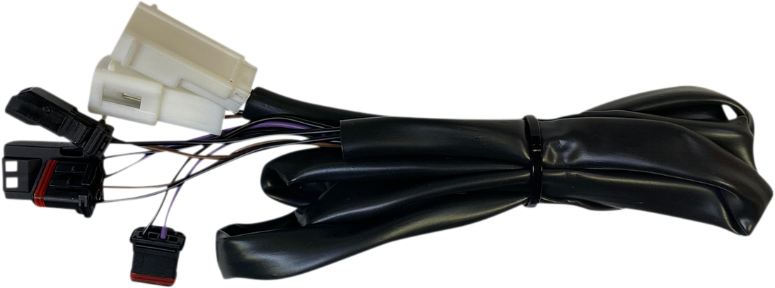 Custom Dynamics Rear Integrated Taillight Harness 2018-2024 Harley Low Rider