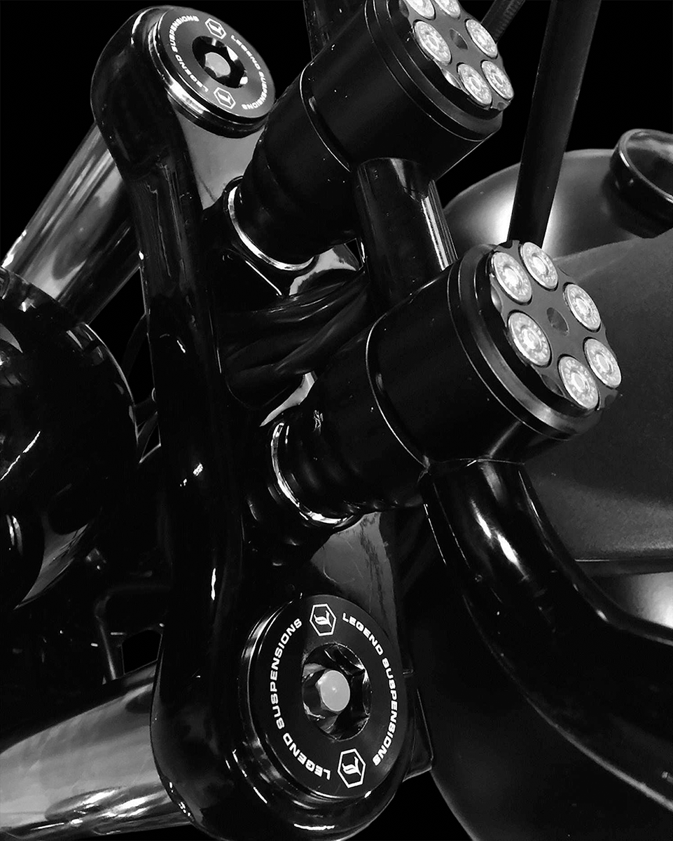 Legend Axeo 49mm Front End Fork Spring Cartridges 2006-2017 Harley DYNA FXDB