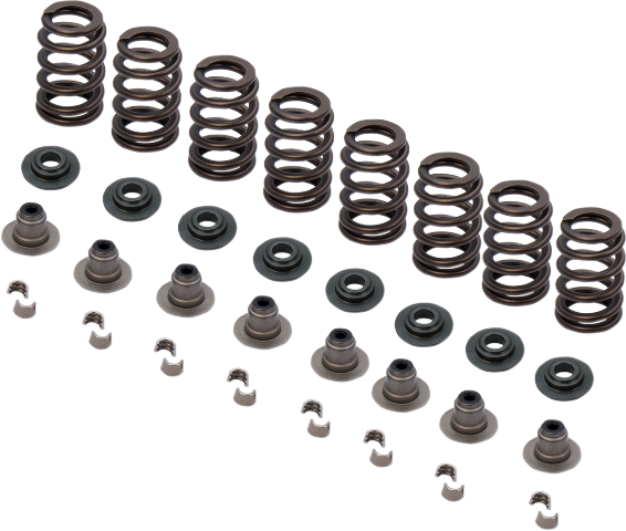 S&S .650" Sidewinder Valve Spring Kit for 2017-2020 Harley Touring FXBR FLHX
