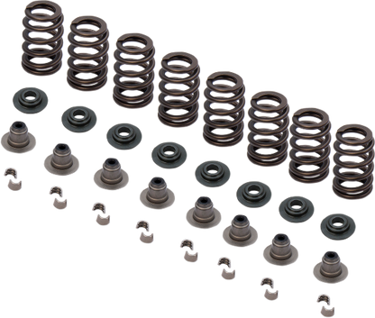 S&S .650" Sidewinder Valve Spring Kit for 2017-2020 Harley Touring FXBR FLHX