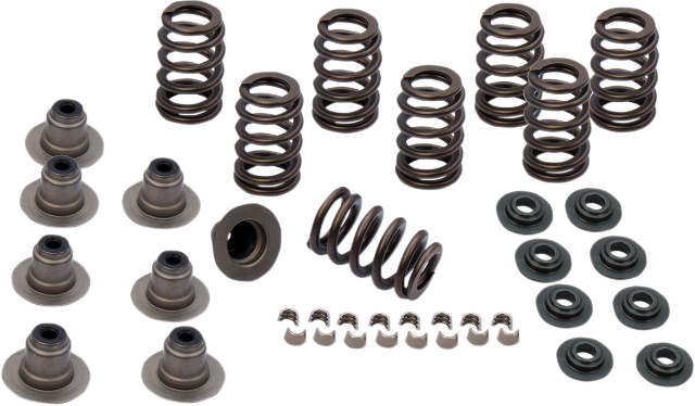 S&S .650" Sidewinder Valve Spring Kit for 2017-2020 Harley Touring FXBR FLHX