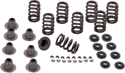 S&S .650" Sidewinder Valve Spring Kit for 2017-2020 Harley Touring FXBR FLHX
