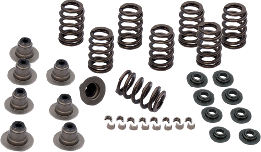 S&S .650" Sidewinder Valve Spring Kit for 2017-2020 Harley Touring FXBR FLHX