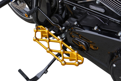 Arlen Ness Diamond Gold Driver Floorboards for 1982-2025 Harley Touring Softail