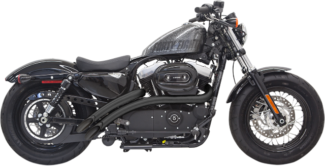 Bassani Black Radial Sweeper Exhaust System fits 14-22 Harley Sportster 1200 883