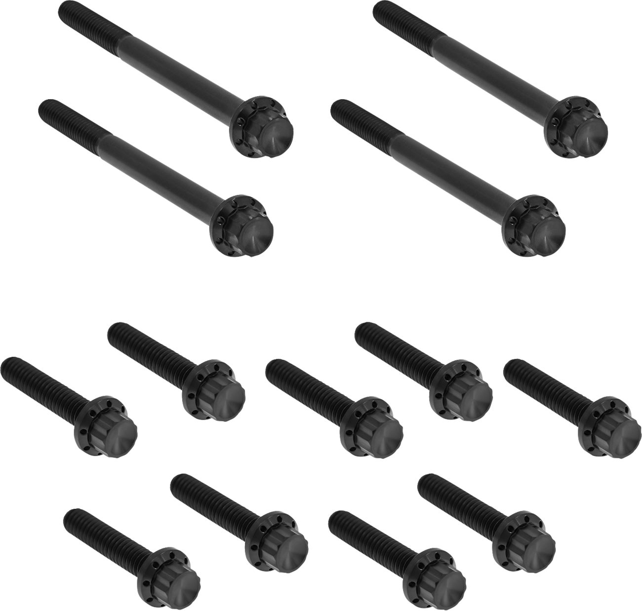 Arlen Ness Black Primary Cover Titanium Bolt Kit for 2017-2025 Harley Touring