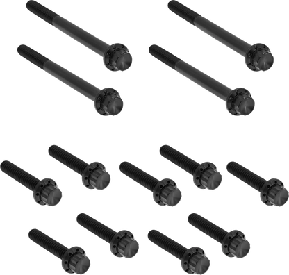 Arlen Ness Black Primary Cover Titanium Bolt Kit for 2017-2025 Harley Touring