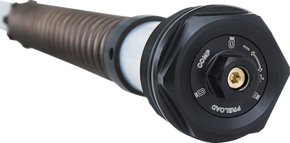 Ohlins NIX22 29" Front Fork Cartridge Kit for 2017-2025 Harley Touring FKS228