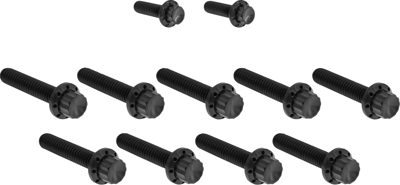 Arlen Ness Black Cam Cover/Point Cover Titanium 12-Point Bolt Kit 2017-25 Harley