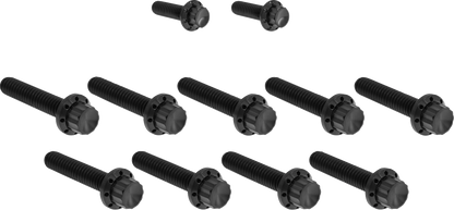 Arlen Ness Black Cam Cover/Point Cover Titanium 12-Point Bolt Kit 2017-25 Harley