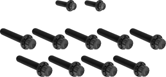 Arlen Ness Black Cam Cover/Point Cover Titanium 12-Point Bolt Kit 2017-25 Harley