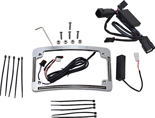 Custom Dynamics Chrome LED Radius License Plate Frame 2014-2024 Harley Touring