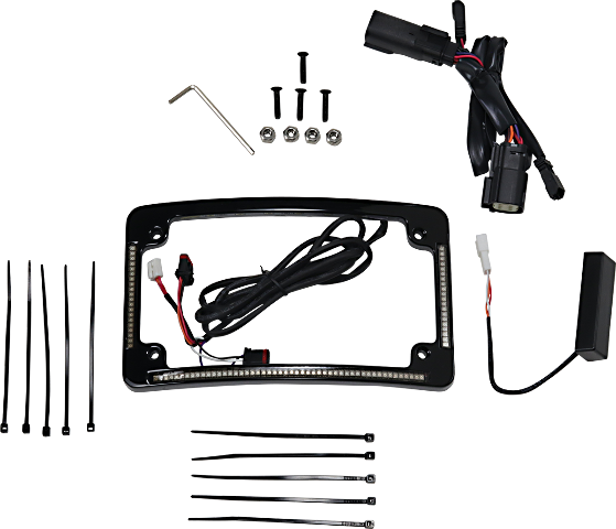 Custom Dynamics Black LED Radius License Plate Frame 2014-2023 Harley Touring