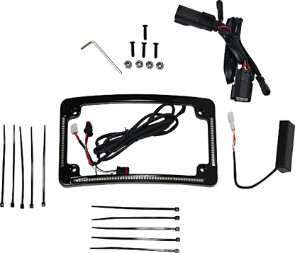 Custom Dynamics Black LED Radius License Plate Frame 2014-2023 Harley Touring