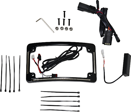 Custom Dynamics Black LED Radius License Plate Frame 2014-2023 Harley Touring