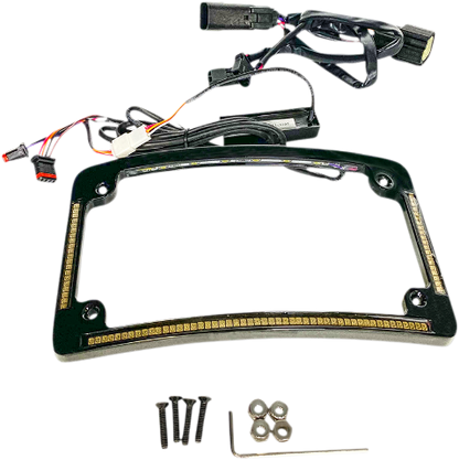 Custom Dynamics Black LED Radius License Plate Frame 2014-2023 Harley Touring