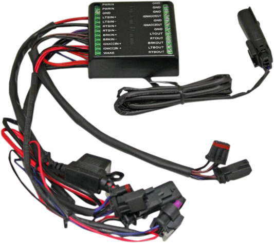 Custom Dynamics Isolator Light Module 2018-2023 Harley Softail Fat Bob Breakout