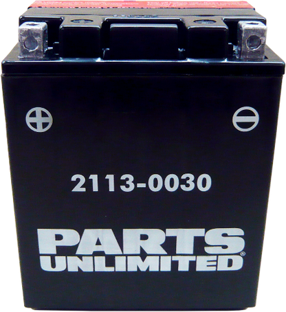 Parts Unlimited YTX14AHBS AGM Battery 1982-2017 Yamaha Honda Polaris Arctic Cat