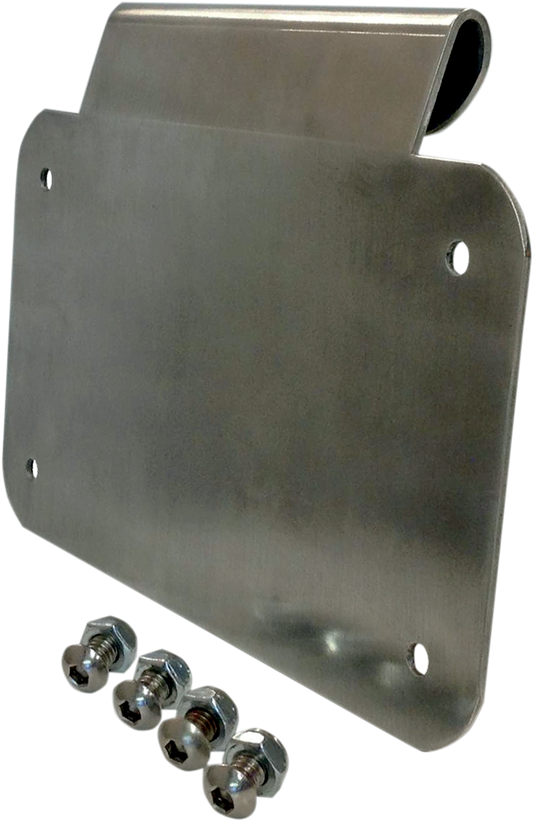Alloy Art Motorcycle License Plate Mount fits 1999-2020 Harley Touring Models