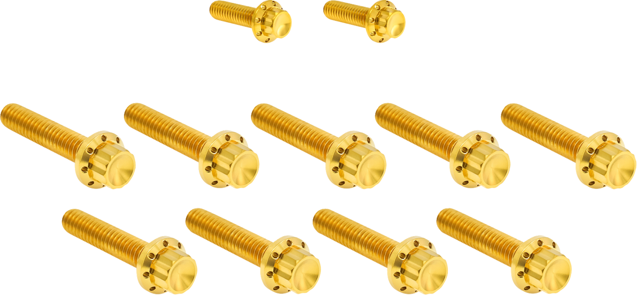 Arlen Ness Gold Cam Cover/Point Cover Titanium 12-Point Bolt Kit 2017-25 Harley