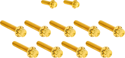 Arlen Ness Gold Cam Cover/Point Cover Titanium 12-Point Bolt Kit 2017-25 Harley