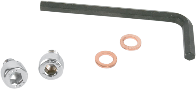Gardner Westcott Chrome Fork Slider Drain Screws for 1977-17 Harley Dyna Touring