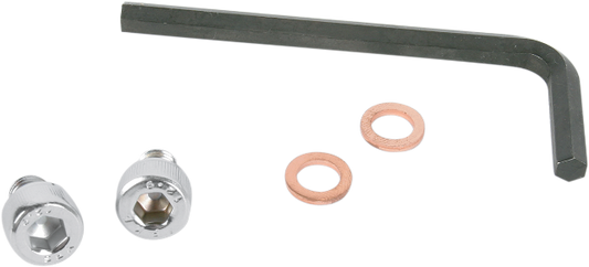 Gardner Westcott Chrome Fork Slider Drain Screws for 1977-17 Harley Dyna Touring