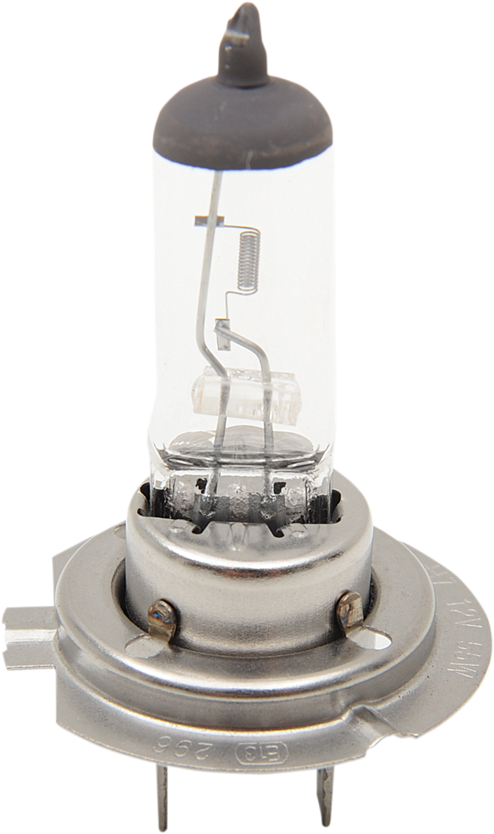 Drag Specialties White PX26d H7 Halogen 12V Front 55W Headlight Bulb Harley