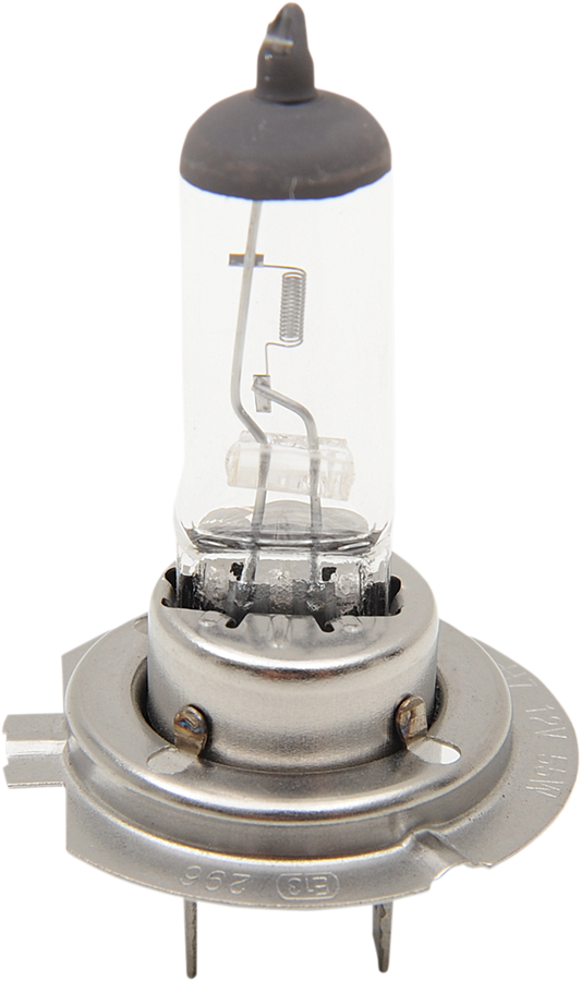Drag Specialties White PX26d H7 Halogen 12V Front 55W Headlight Bulb Harley