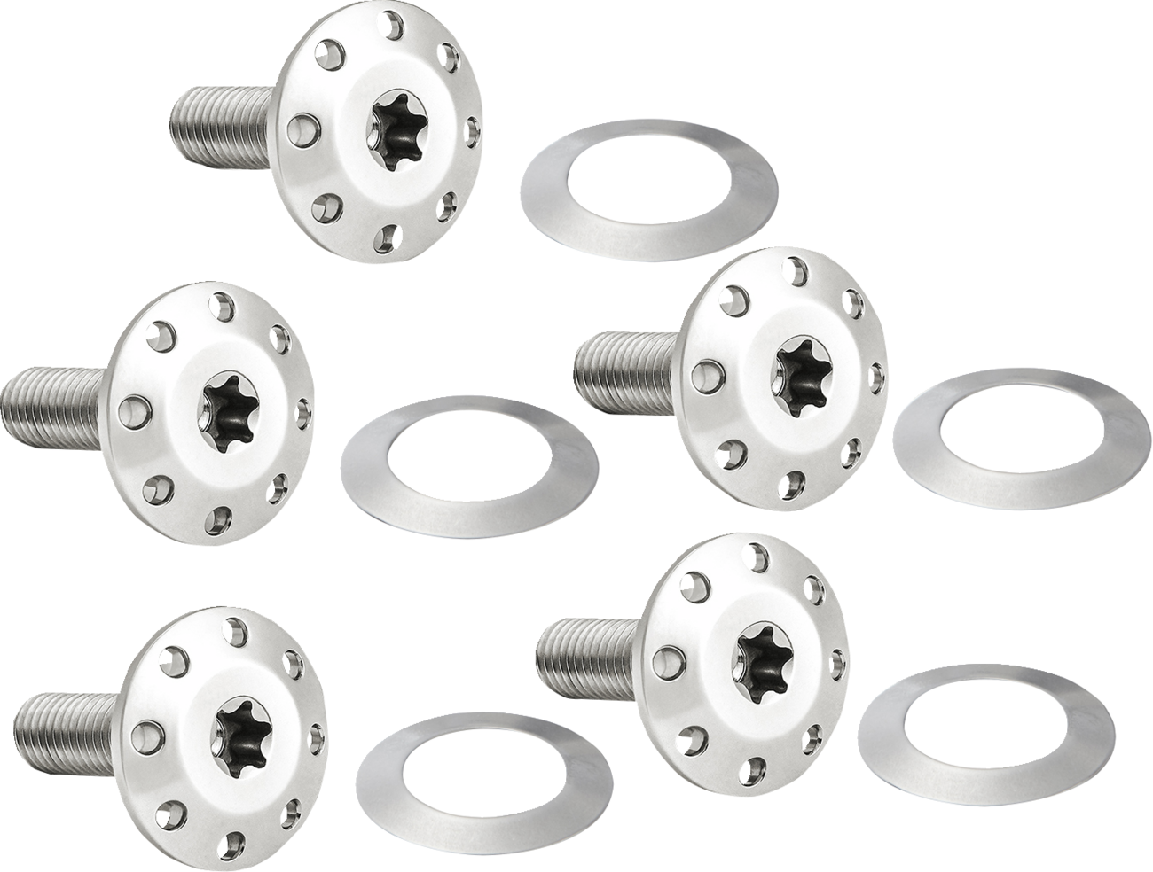 Arlen Ness Polished Front Floating Brake Rotor Bolt Kit for 2024 Harley Touring