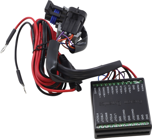 Custom Dynamics Dynamic Load Isolator 2020-2022 Indian Challenger Chief Bobber