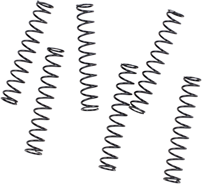 Feuling 6 Pack Pressure Relief Valve Springs 2017-2024 Harley M8 Softail Touring