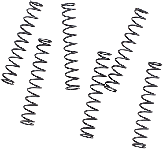 Feuling 6 Pack Pressure Relief Valve Springs 2017-2024 Harley M8 Softail Touring