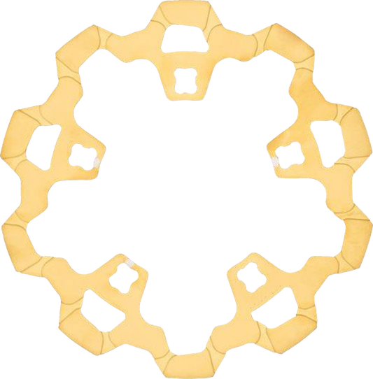 Lyndall Racing Enforcer Gold Front Brake Rotor for 2014-2023 Harley Davidson