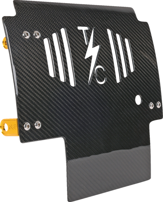 Thrashin Carbon Fiber Gold Skid Plate fits 2023-2025 Harley Street Road Glide