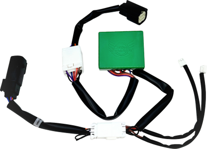Custom Dynamics Smart Triple Play Light Module fits 2010-2013 Street Road Glide