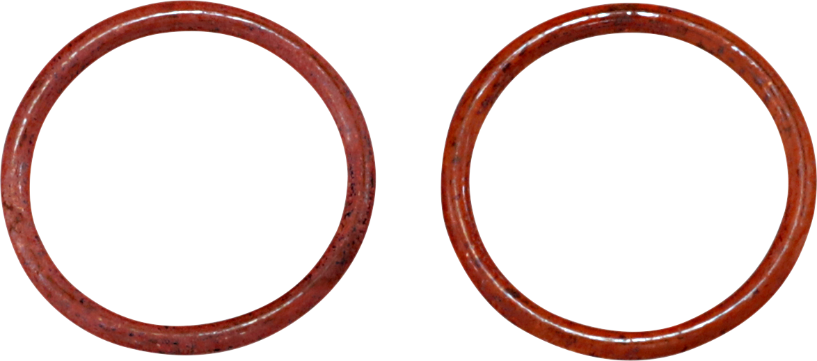 James Gasket Pair Exhaust Gaskets 99-20 Harley Dyna Touring Softail Sportster