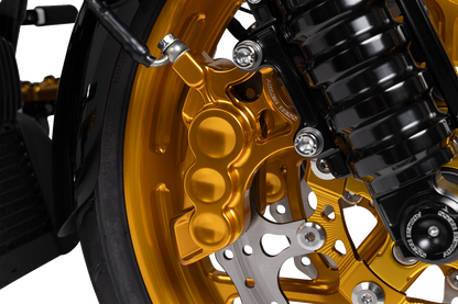 Arlen Ness Gold 6-Piston Front Right Brake Caliper fits 2006-2025 Harley 14"