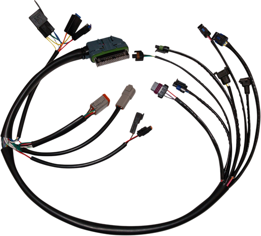 Namz Black EFI Fuel Ignition Wiring Harness Kit 2002-2005 Harley Touring Softail