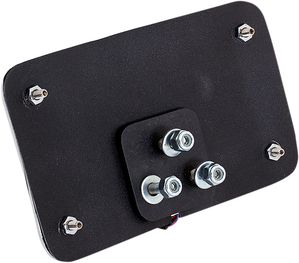 Cycle Visions Slick Signals LED Chrome Rear Motorcycle License Plate Frame