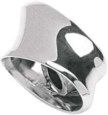 Chris Products Rear Turn Signal Mount fits 00-13 Harley Davidson Dyna FXSTD