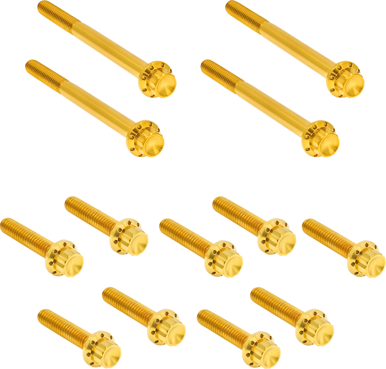 Arlen Ness Gold 12-Point Outer Primary Cover Bolt Kit for 2018-26 Harley Softail