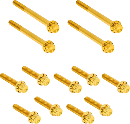 Arlen Ness Gold 12-Point Outer Primary Cover Bolt Kit for 2018-26 Harley Softail