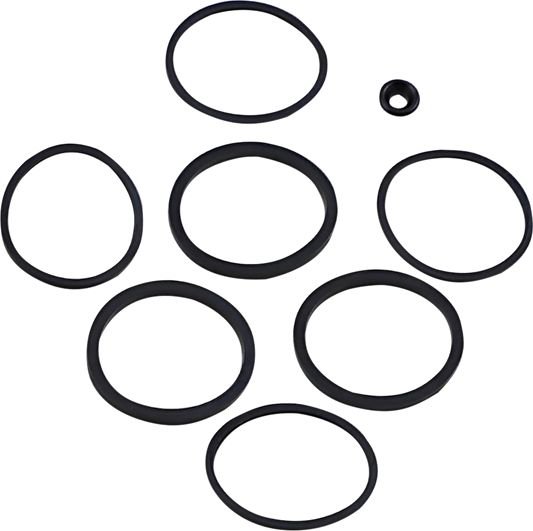 Drag Specialties Brake Caliper Seal Kit 2008-2022 Harley Touring FLHX FLHR FLHTK