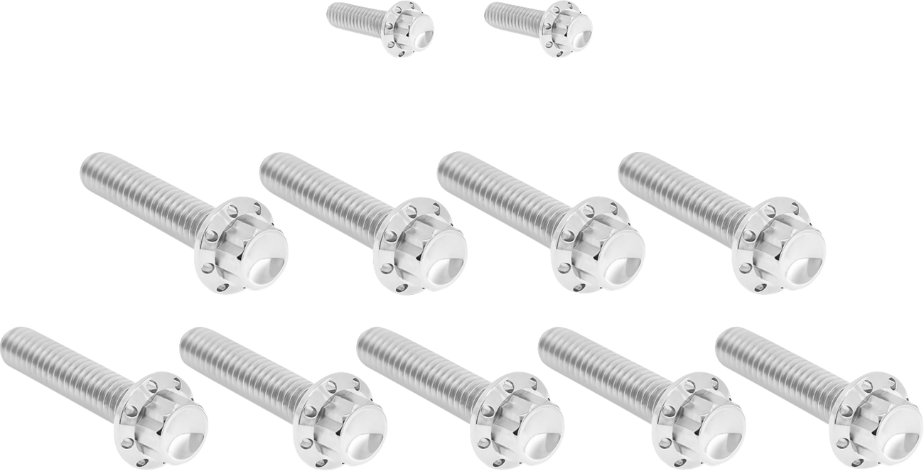 Arlen Ness Cam Cover/Point Cover Titanium 12-Point Bolt Kit for 2017-25 Harley