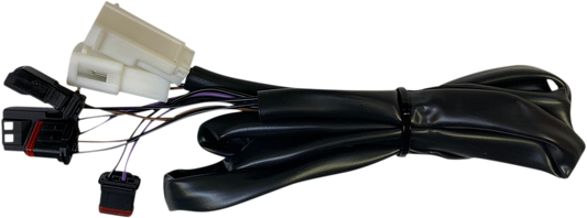 Custom Dynamics Rear Integrated Taillight Harness 2018-2024 Harley Low Rider