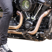 Thrashin Billet Black Brake Arm for 2018-2023 Harley Davidson Softail FXLR FXFB