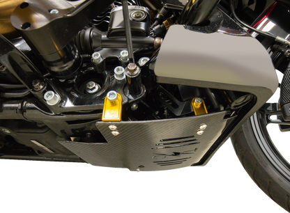 Thrashin Carbon Fiber Gold Skid Plate fits 2023-2025 Harley Street Road Glide