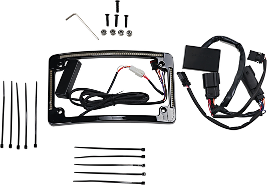Custom Dynamics Black LED Radius License Plate Frame 2014-2024 Harley Touring